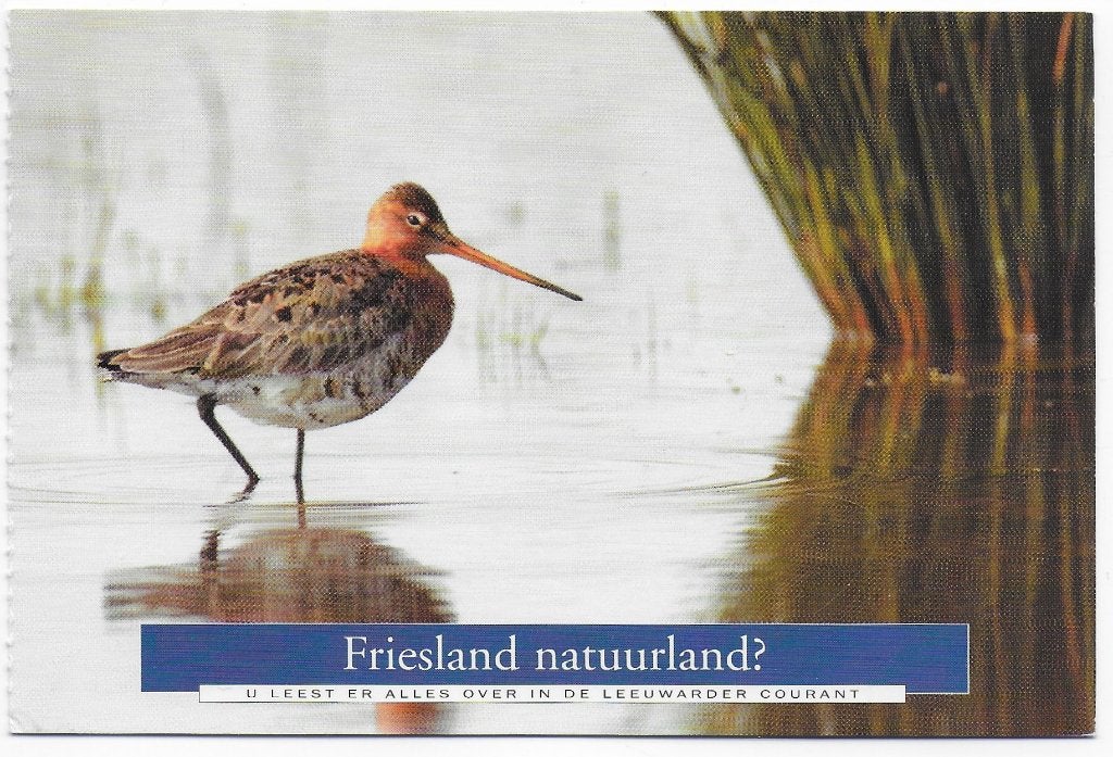 Friesland gelopen Ansichtkaart ( B2640 ), Verzamelen, Ophalen of Verzenden, 1980 tot heden, Gelopen, Friesland