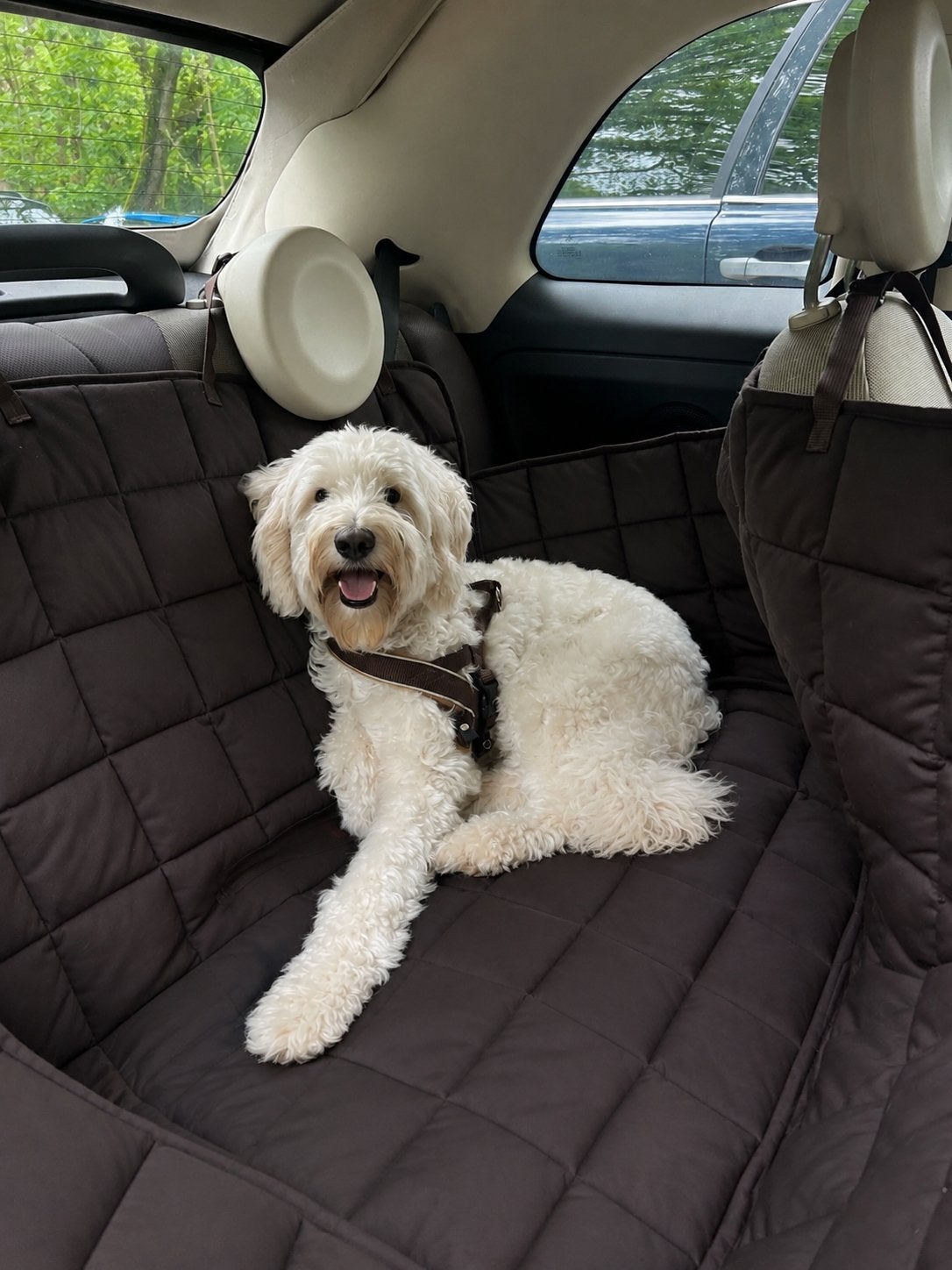 Doctor Bark Achterbankbeschermer, Ophalen of Verzenden, Gebruikt