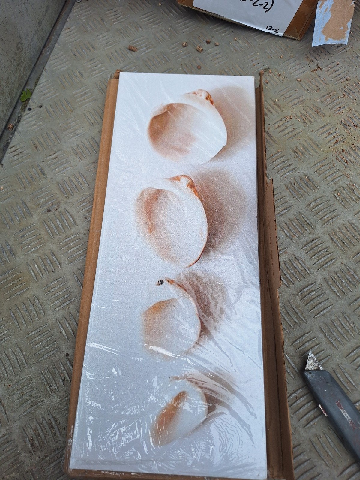 Sierplank met schelp afbeelding, Ophalen of Verzenden
