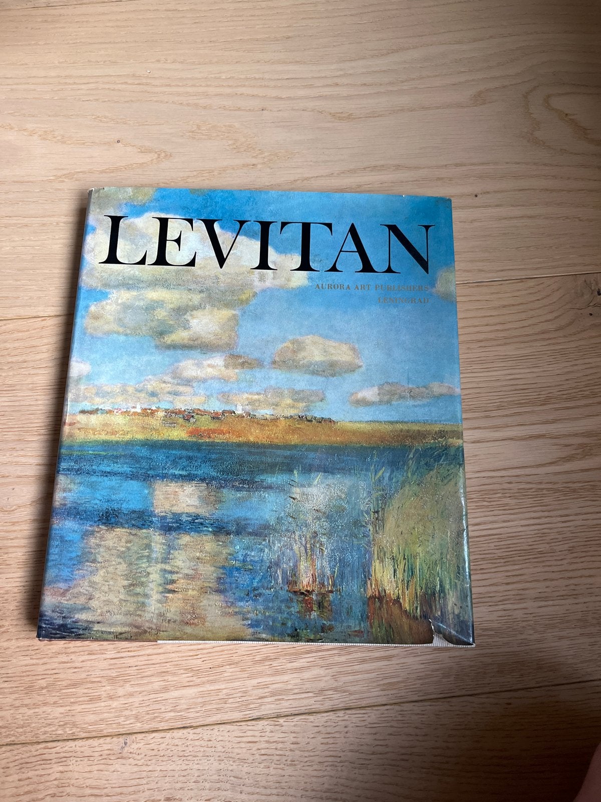 Levitan Kunstboek - Russische Landschapsschilderijen, Ophalen of Verzenden, Gelezen, Schilder- en Tekenkunst
