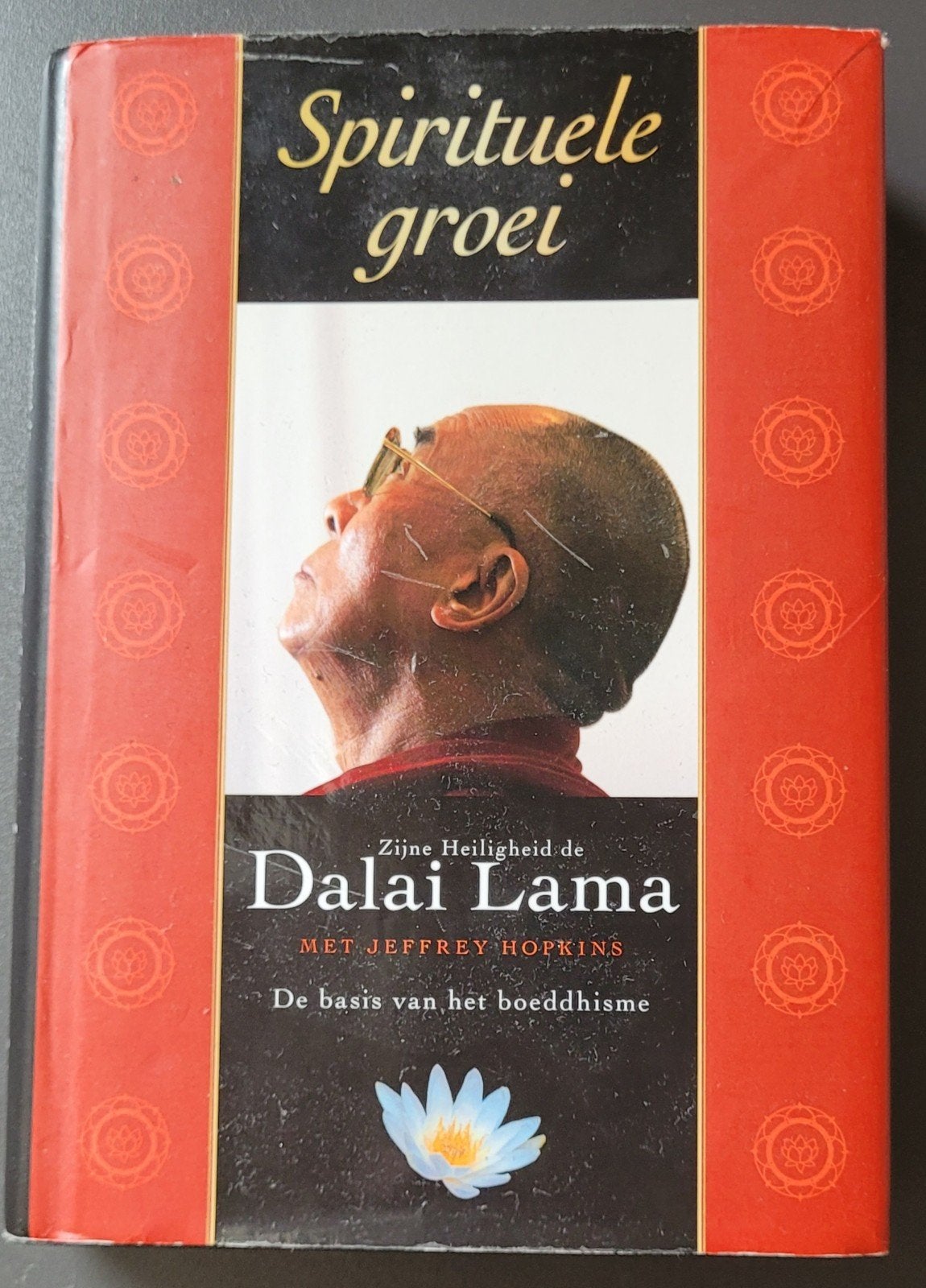 Spirituele groei - De Dalai Lama - Boeddhisme, Boeken, Esoterie en Spiritualiteit, Gelezen, Achtergrond en Informatie, Spiritualiteit algemeen