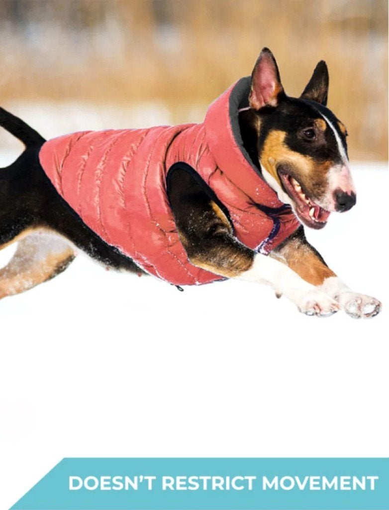AiryVest Versatile Hondenjas Omkeerbaar M45 Coral-Grey -50%!, Ophalen of Verzenden, Nieuw, Hondenjas
