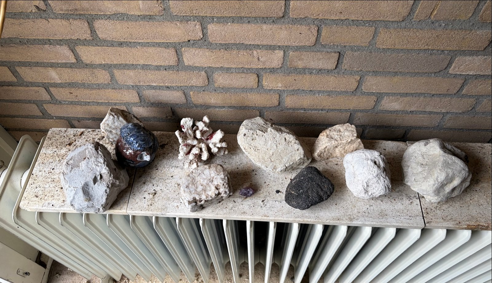 Diverse collectie mineralen en fossielen, koraal, Ophalen, Mineraal