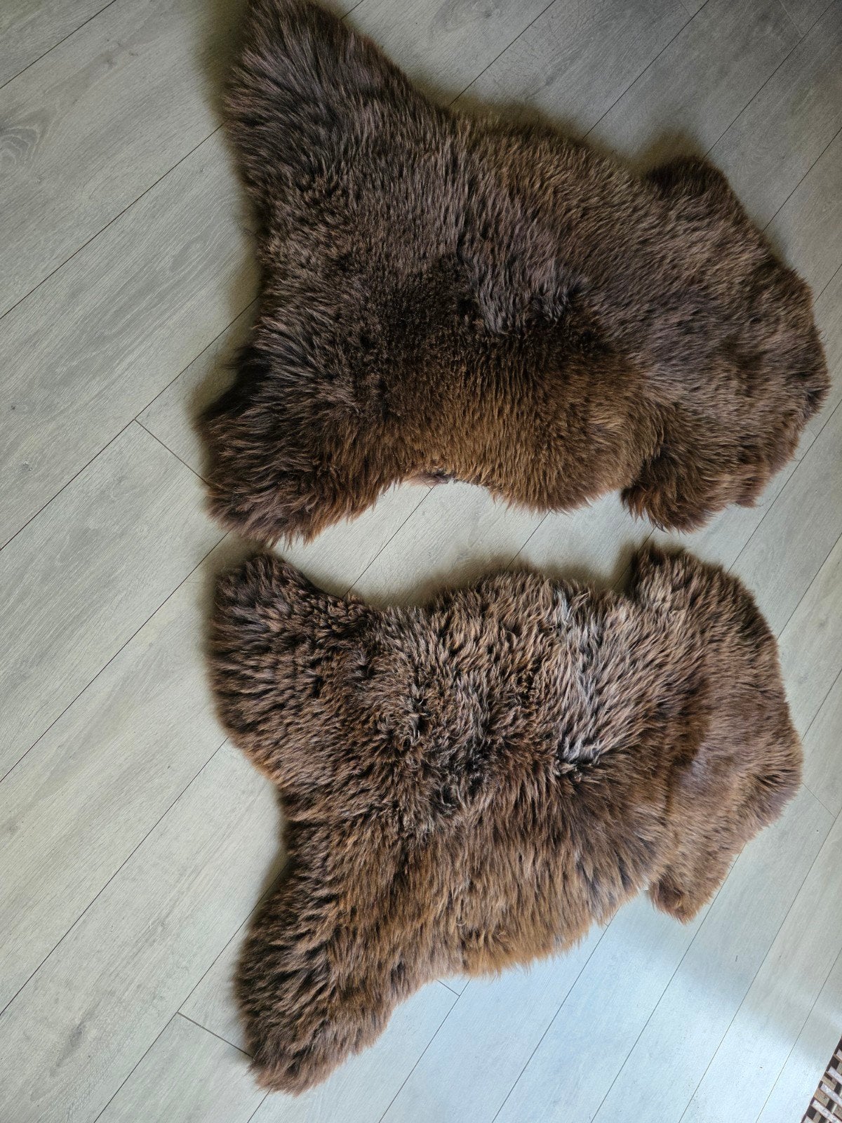 Schapenvachten 2stuks bruin., Huis en Inrichting, Woonaccessoires | Plaids en Woondekens, Ophalen of Verzenden, Nieuw