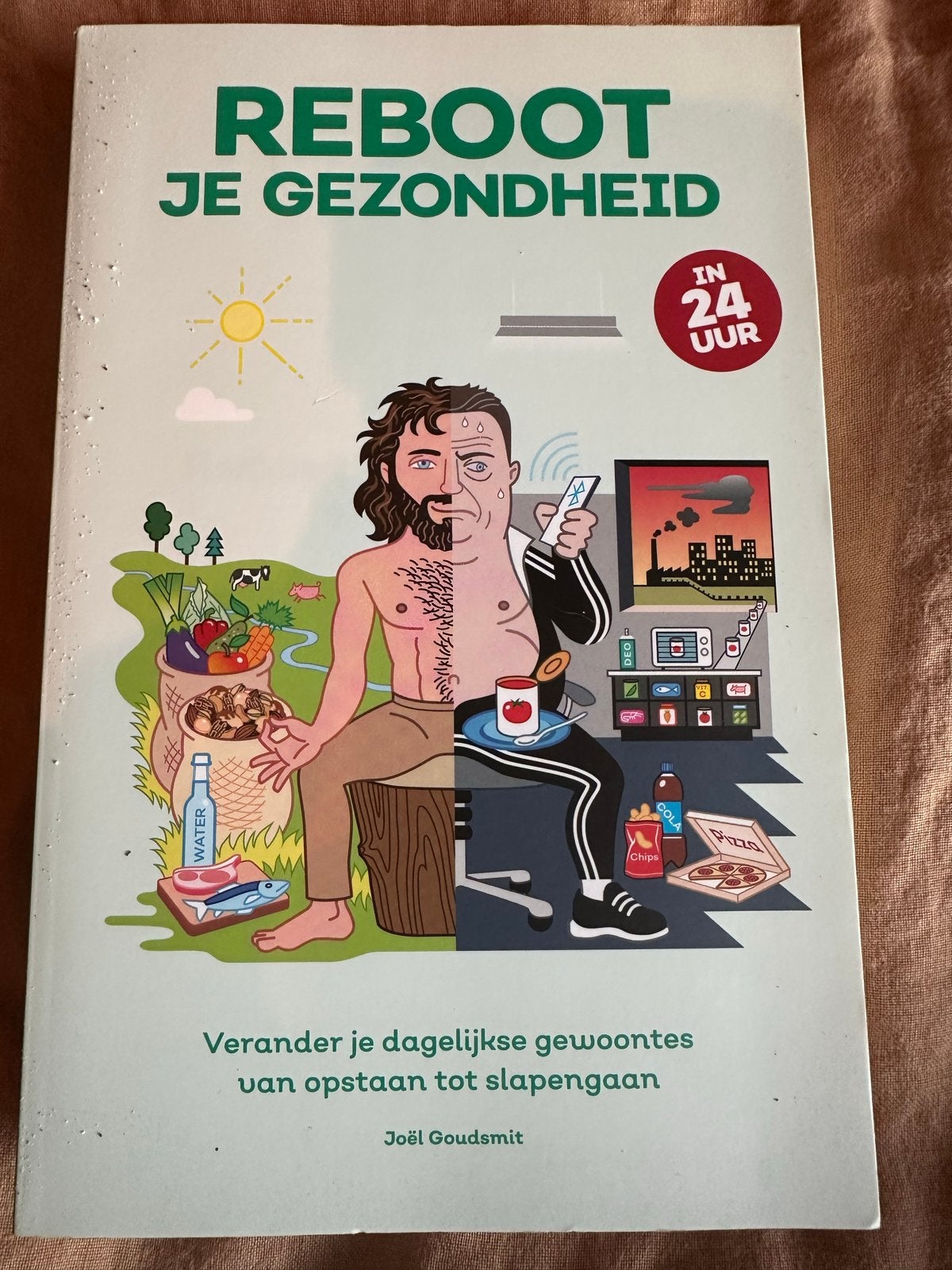 Reboot je Gezondheid in 24 uur - Joël Goudsmit, Ophalen of Verzenden, Zo goed als nieuw, Gezondheid en Conditie