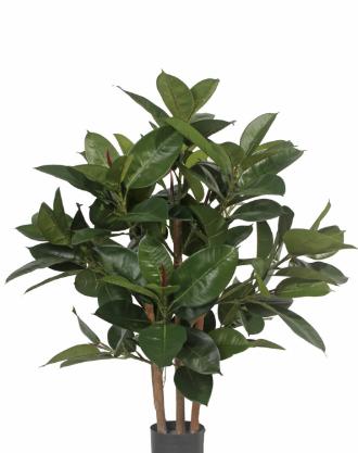 80 Cm kunst Ficus Elastica, Ophalen, Binnen, Groen, Kunstplant