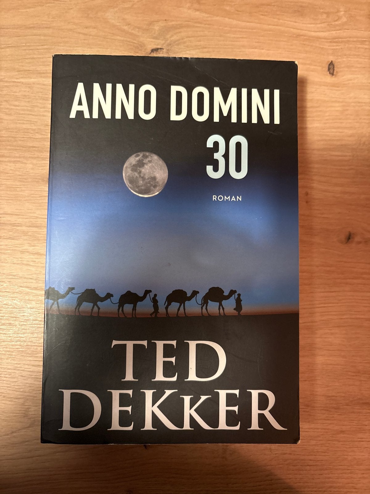 Anno Domini 30 - Ted Dekker Roman, Ophalen of Verzenden, Gelezen, Nederland