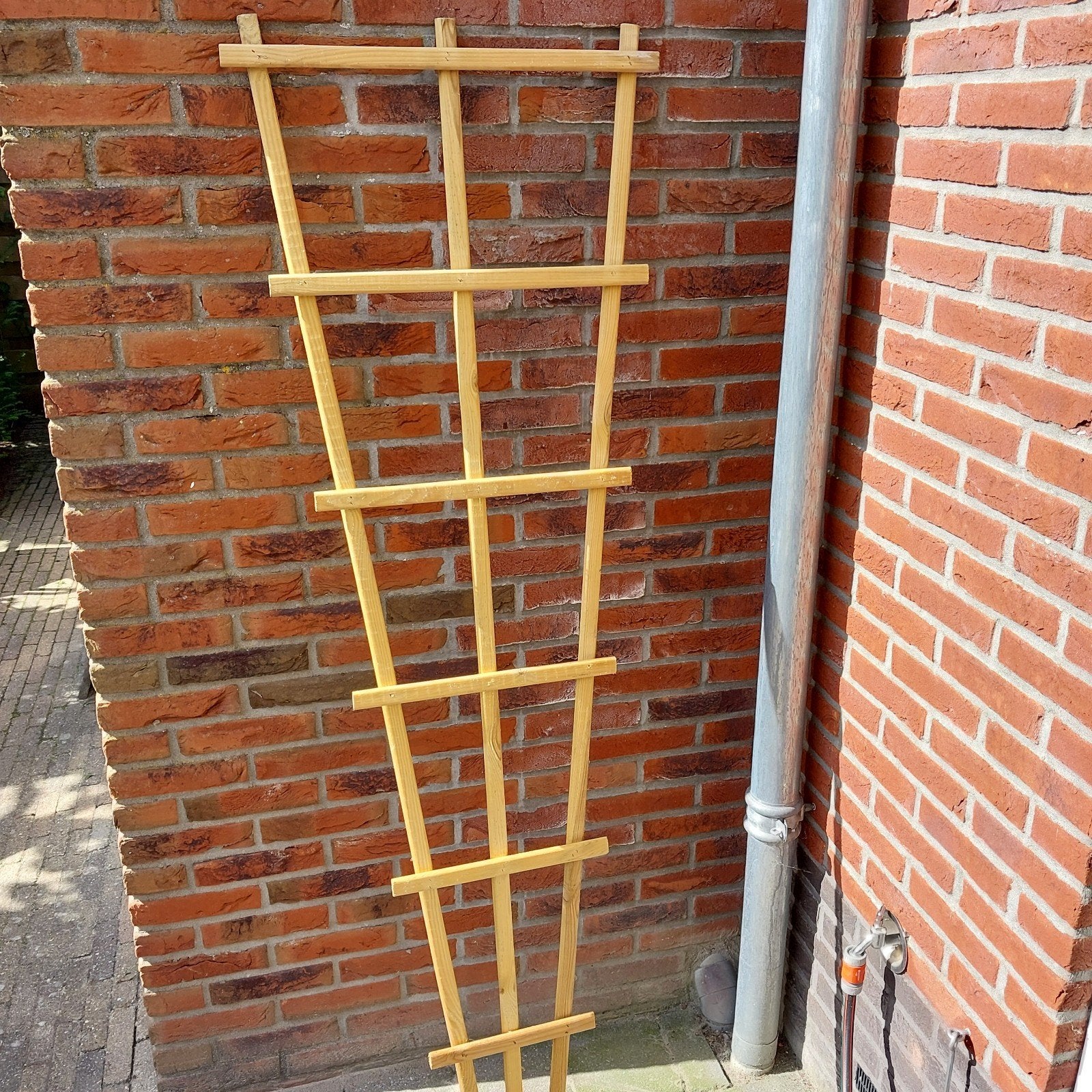 Trellis v-vorm 180x60cm nieuw, Ophalen, Nieuw