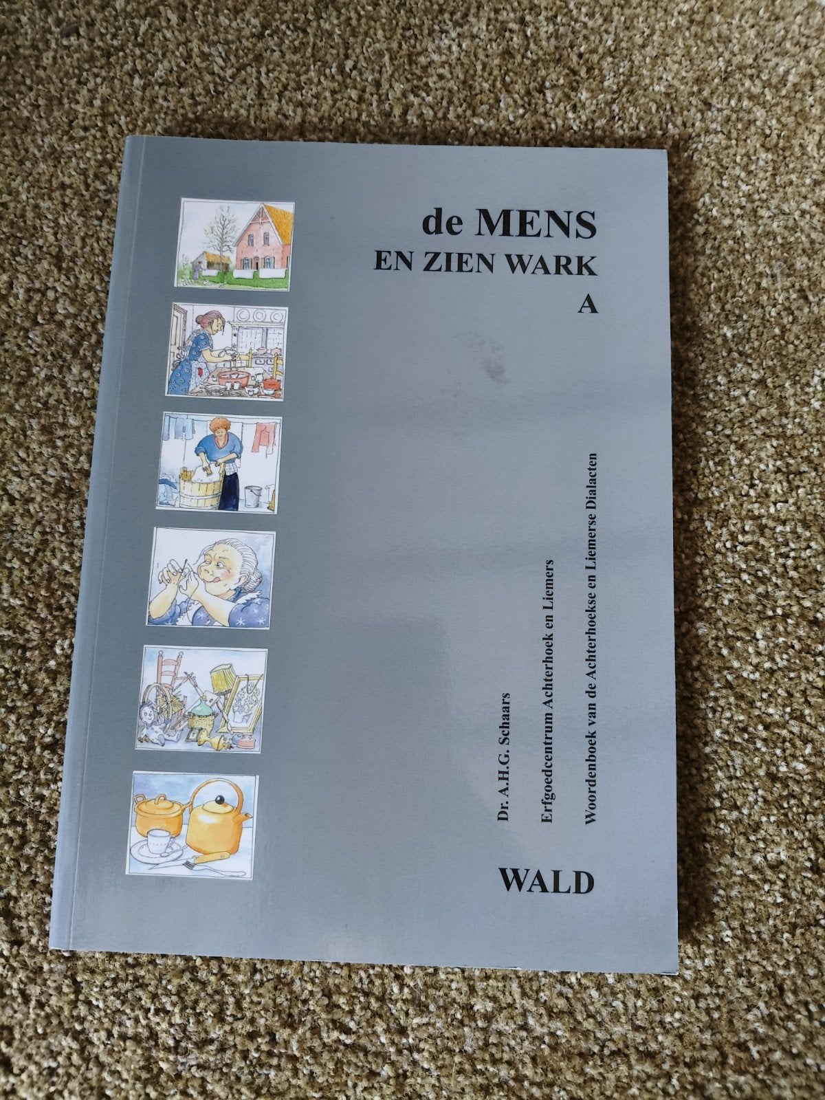 Woordenboek Achterhoekse en Liemerse Dialecten, Ophalen of Verzenden, Zo goed als nieuw, Dr. A.H.G. Schaars, Nederland