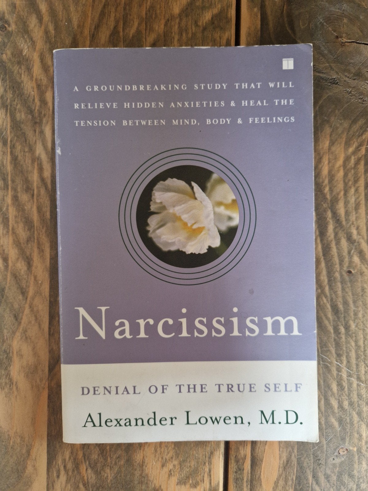 Narcissism: Denial of the True Self - Alexander Lowen, Boeken, Psychologie, Gelezen, Klinische psychologie, Ophalen of Verzenden