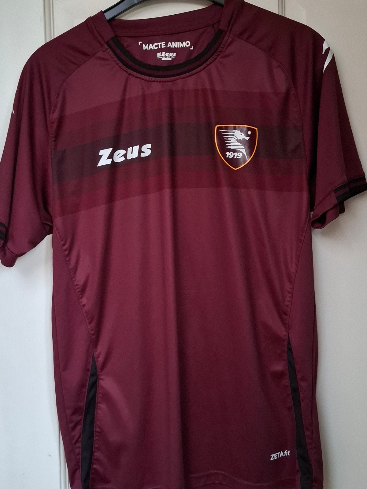 Salernitana voetbalshirt - Maat L/XL - Italië, Maat L, Ophalen of Verzenden, Zo goed als nieuw, Shirt