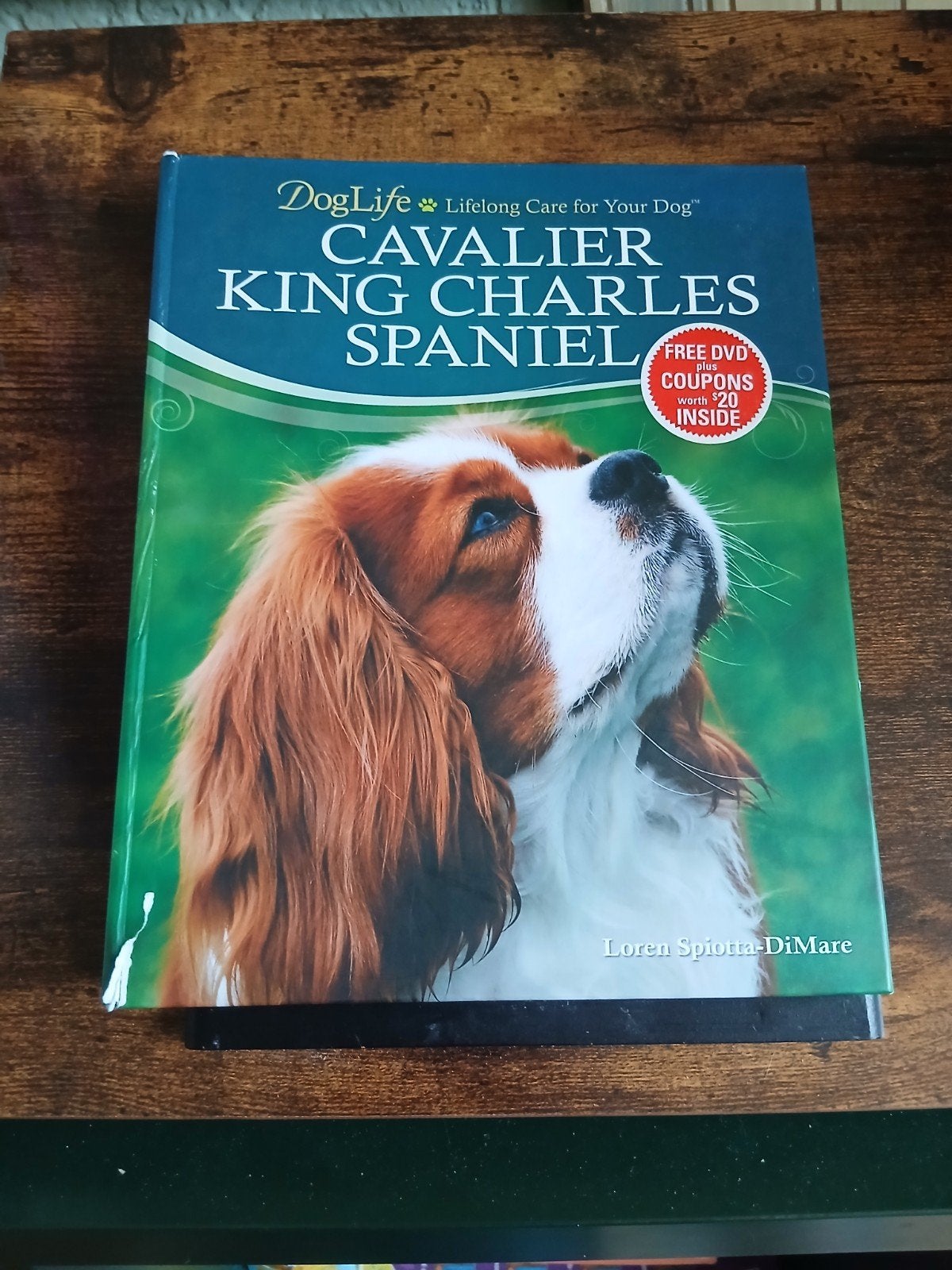 DogLife Cavalier King Charles Spaniel Boek + DVD, Gelezen, Honden, Ophalen of Verzenden, Loren Spiotta-DiMare