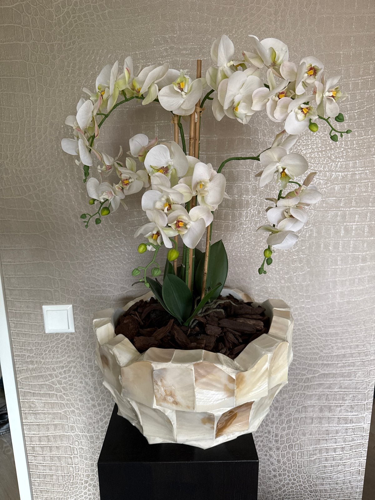 Schelpenvaas bloempot met orchideeën hotel chic, Ophalen of Verzenden, Zo goed als nieuw, Beige, Natuurlijk materiaal