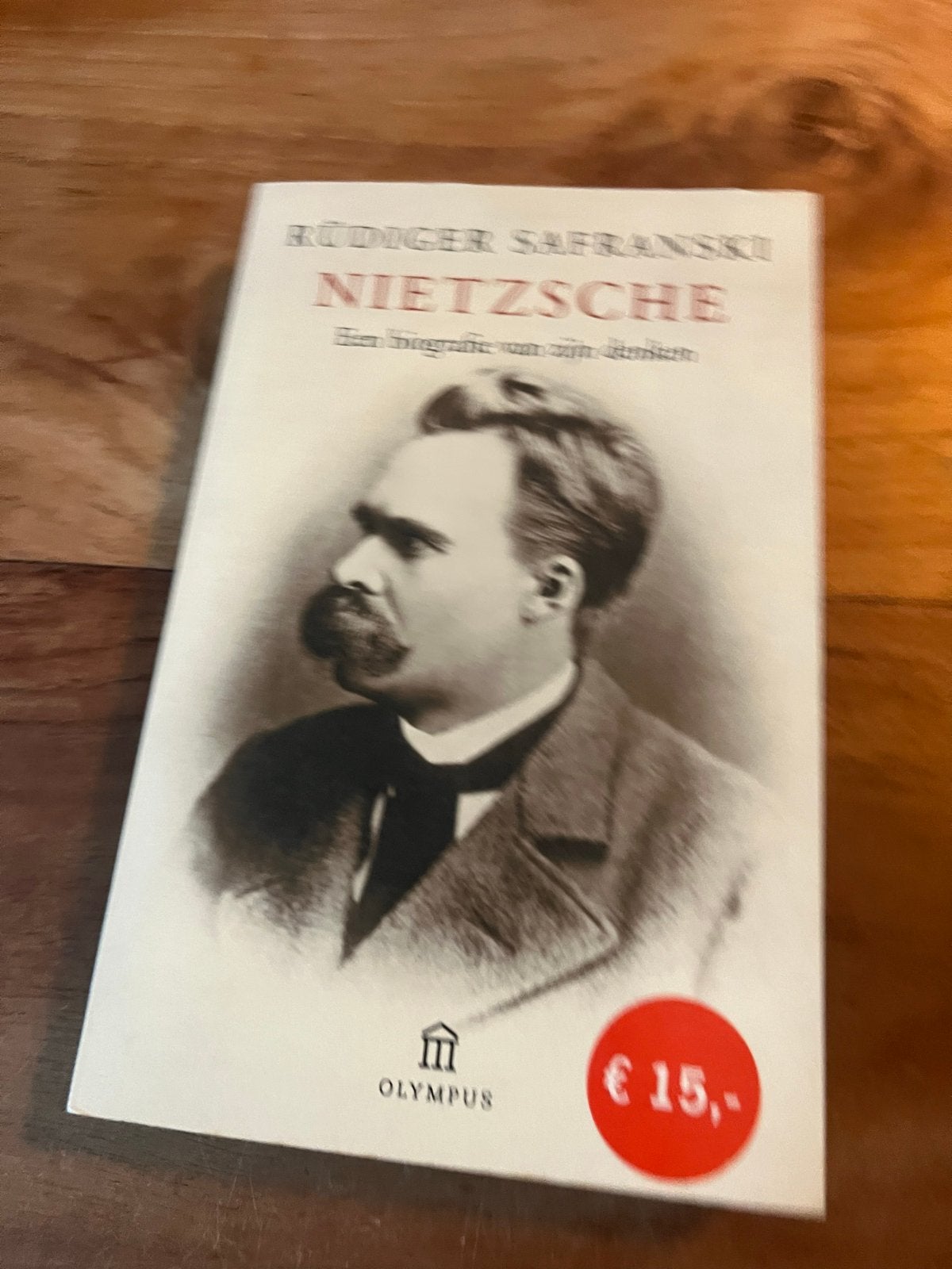 Rüdiger Safranski - Nietzsche: Een biografie van een denker, Boeken, Ophalen of Verzenden, Zo goed als nieuw, Europa overig