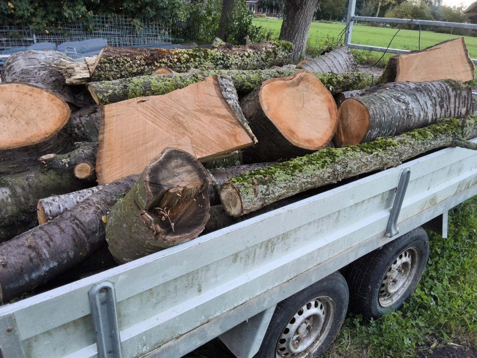 openhaard hout kachelhout brandhout haardhout prunus, Minder dan 3 m³, Ophalen