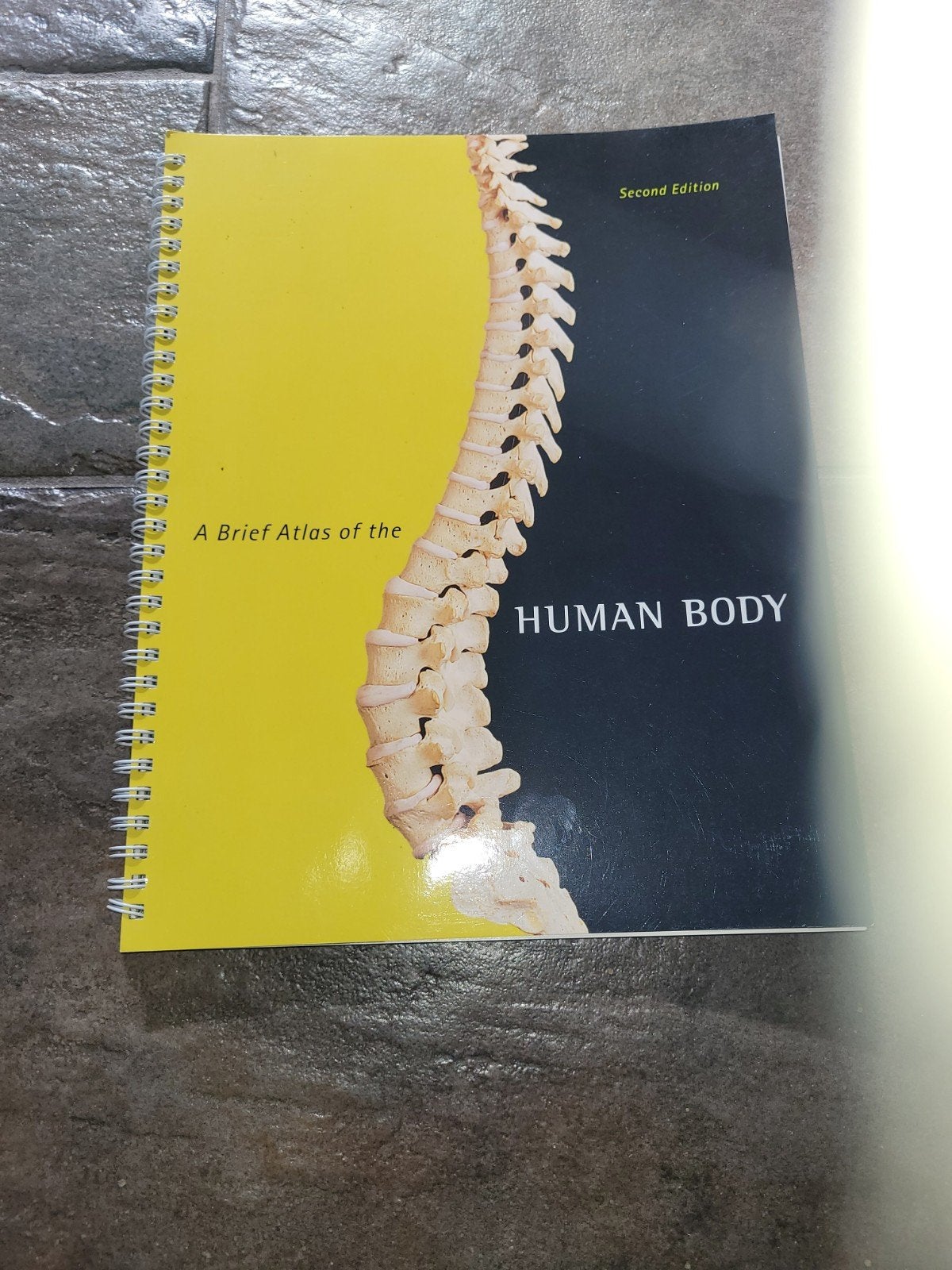 a brief atlas of the human body, Ophalen of Verzenden, Zo goed als nieuw