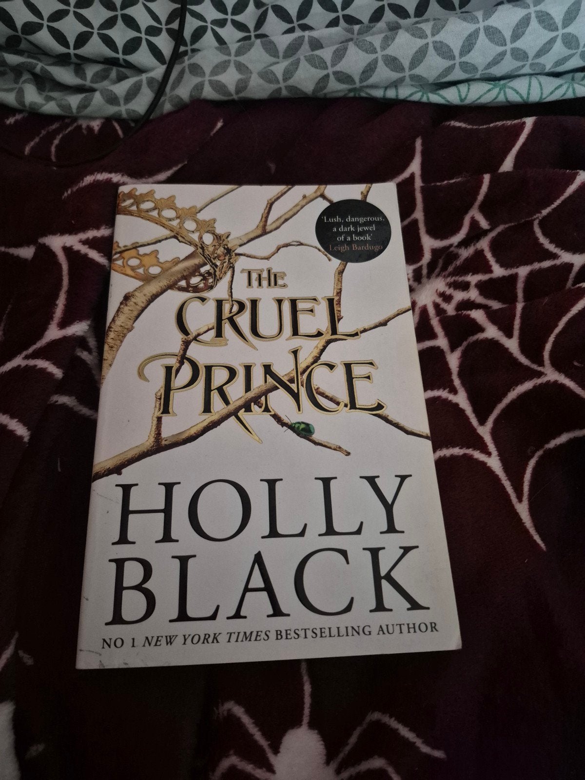 The Cruel Prince - Holly Black (Engels), Boeken, Ophalen, Gelezen, Holly Black