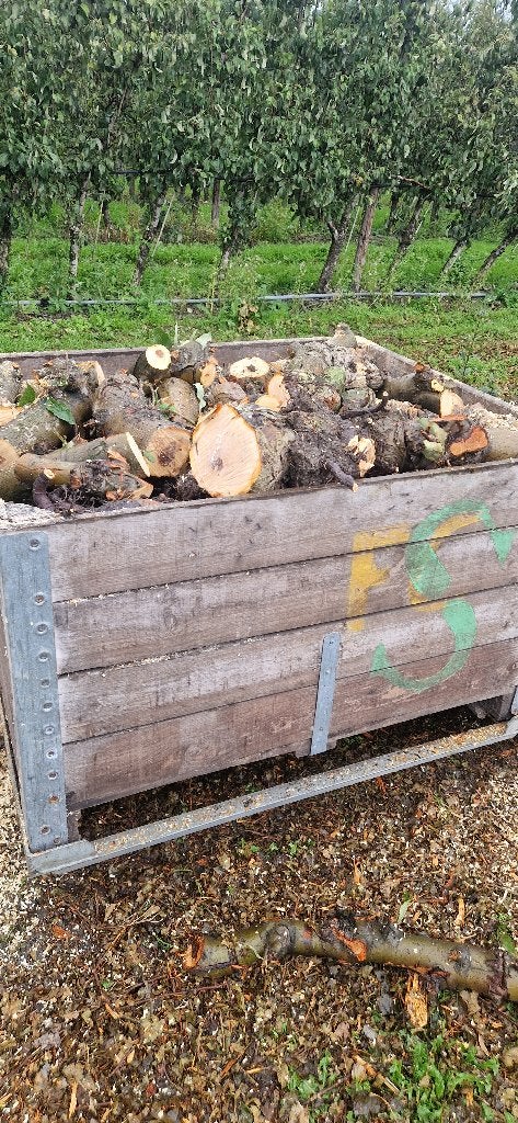 Te koop vers gezaagd appelhout!, 6 m³ of meer, Ophalen of Verzenden