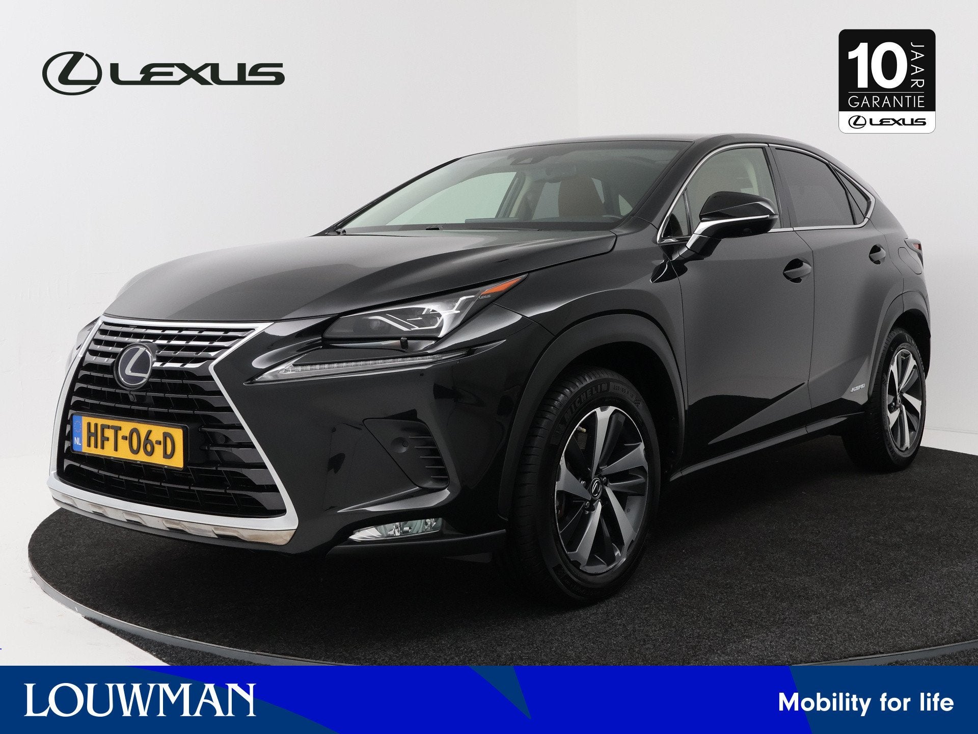 Lexus NX 300h President Line | Mark Levinson Audio |, Automaat, 12 maanden, Gebruikt, Bedrijf