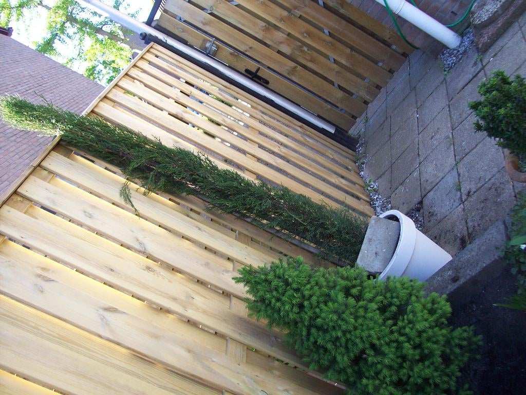 2x cipresse bomen 175cm hoog plus potten, Bloeit niet, Overige soorten, Minder dan 100 cm, Ophalen