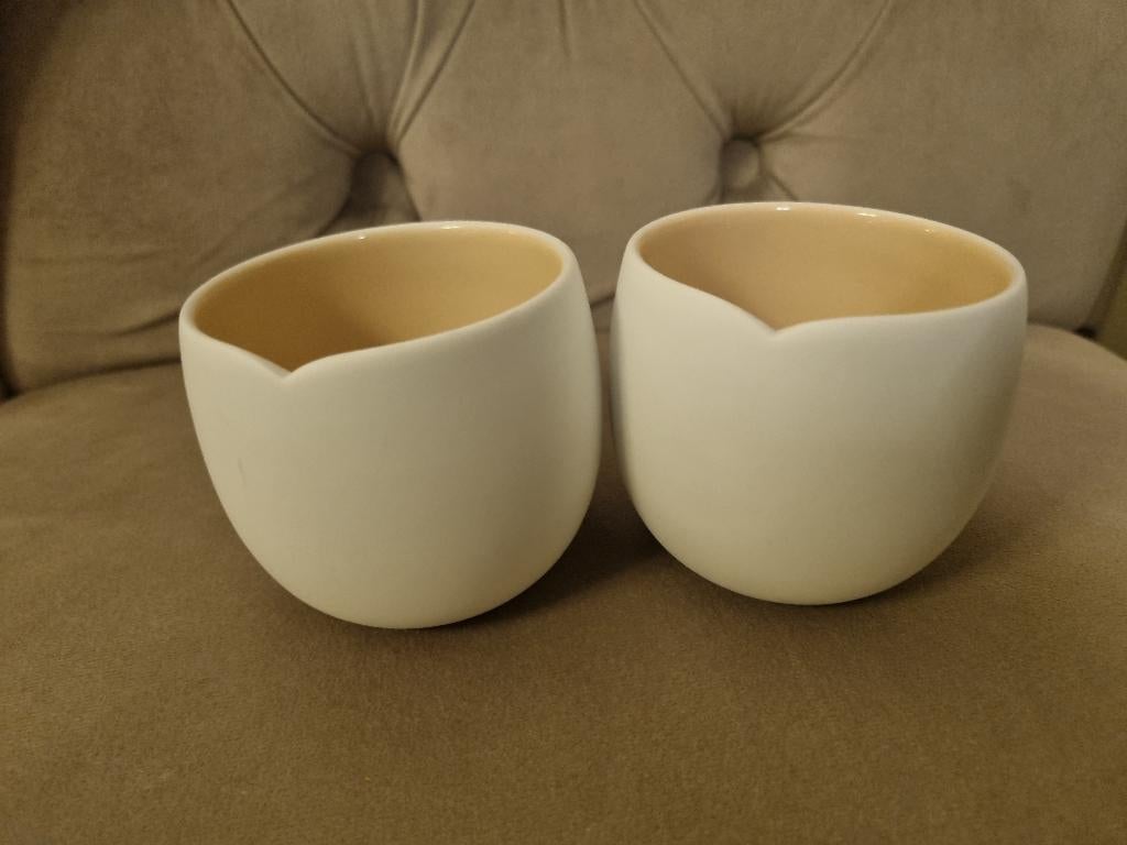 Nespresso lungo Mahdavi dubbelwandige kopjes 2 st 140 ml, Nieuw, Ophalen of Verzenden, Overige stijlen, Kop(pen) en/of Schotel(s)