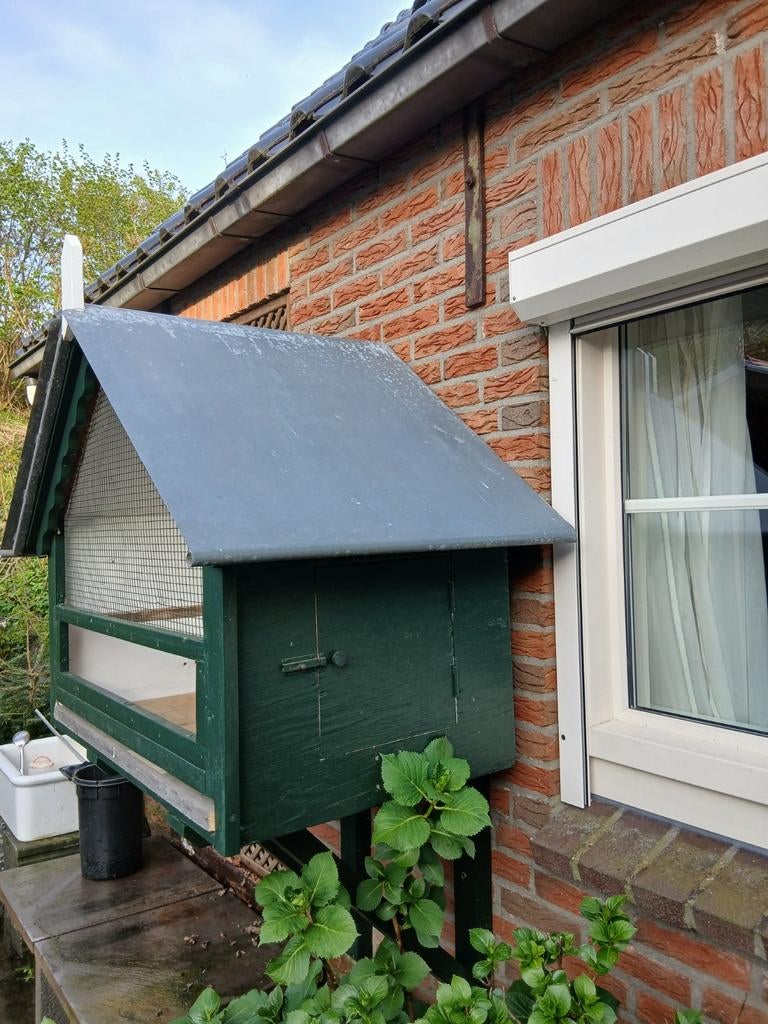 Vogelkooi, Ophalen of Verzenden
