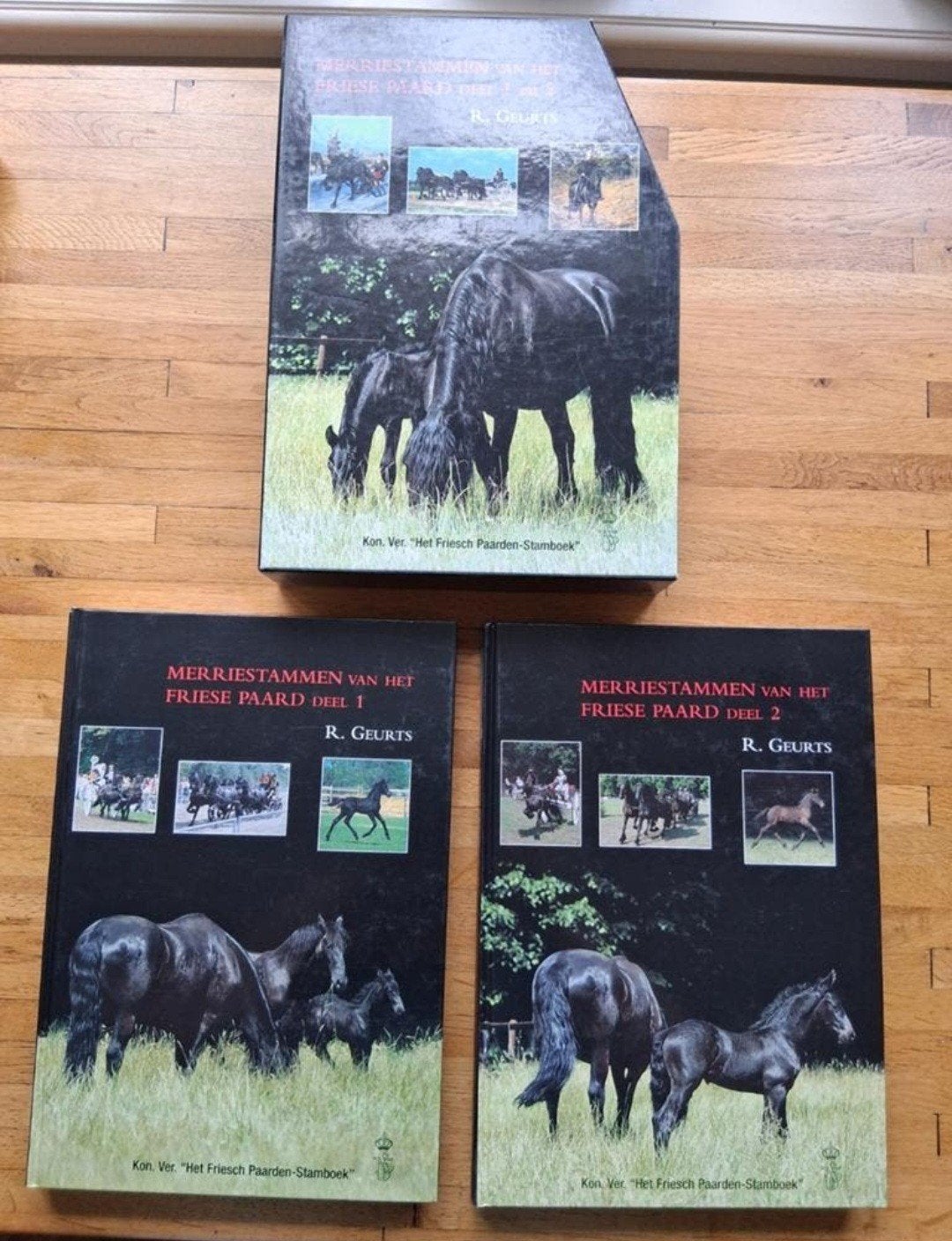 2 delige set merriestammen van het friese paard in bewaarbox, Boeken, Ophalen of Verzenden, Zo goed als nieuw, Paarden of Pony's