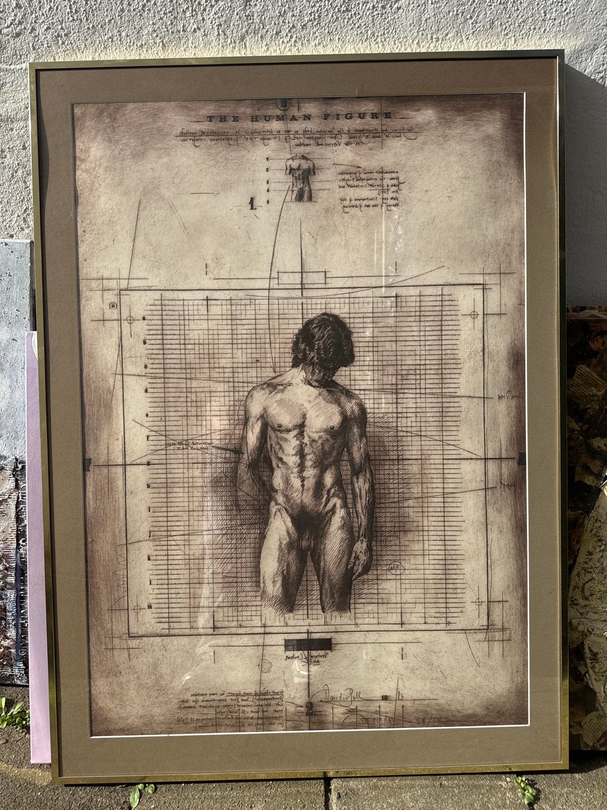 De Menselijke Figuur - Ingelijste Print, Antiek en Kunst, Ophalen of Verzenden, Print, Prent, Genummerd