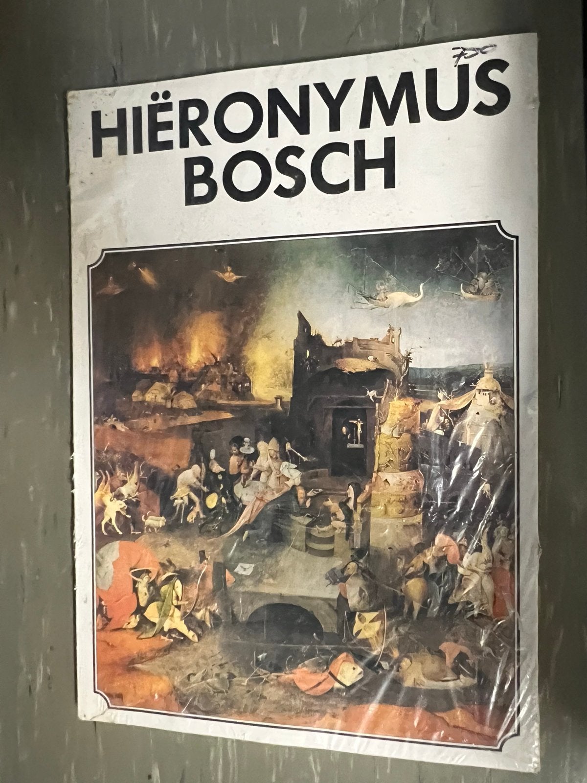 Hieronymus Bosch Kunstboek - Met Kleurafbeeldingen, Ophalen of Verzenden, Zo goed als nieuw, Schilder- en Tekenkunst