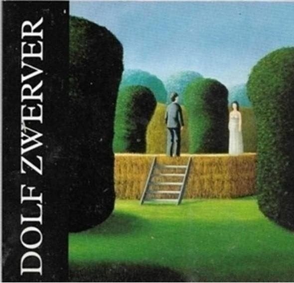 Dolf Zwerver, Ophalen of Verzenden, Zo goed als nieuw, Schilder- en Tekenkunst