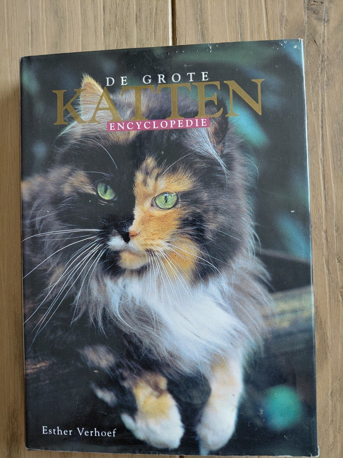 J.J. Verhoef - Verhallen - De grote katten encyclopedie, Ophalen of Verzenden, Zo goed als nieuw, Katten, J.J. Verhoef - Verhallen