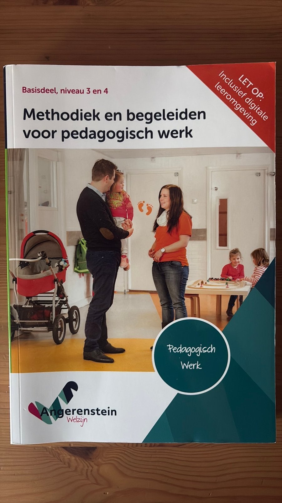 Methodiek en begeleiden voor pedagogisch werk, Boeken, Ophalen of Verzenden, Zo goed als nieuw, Overige niveaus