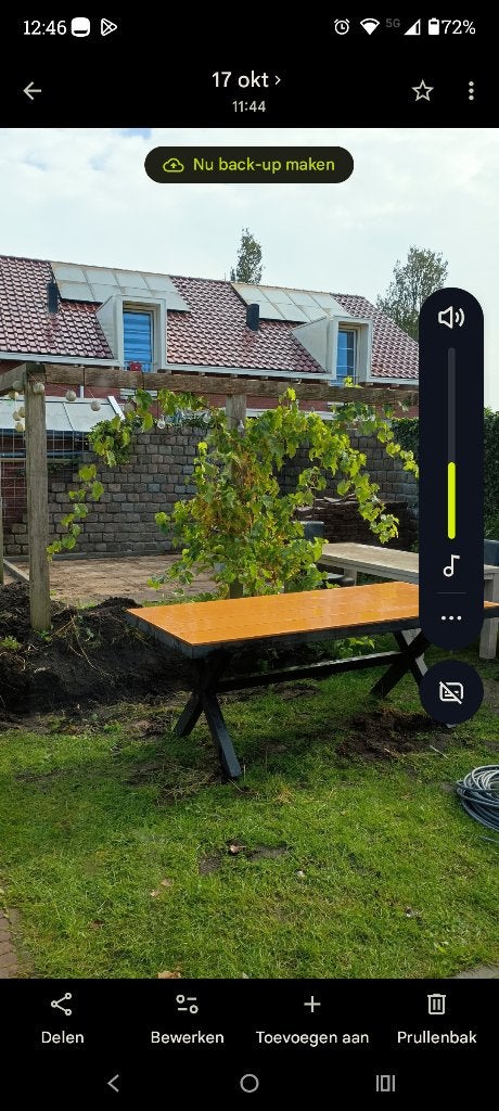 Druivenstok, Tuin en Terras, Overige soorten, 250 tot 400 cm, Zomer, Ophalen