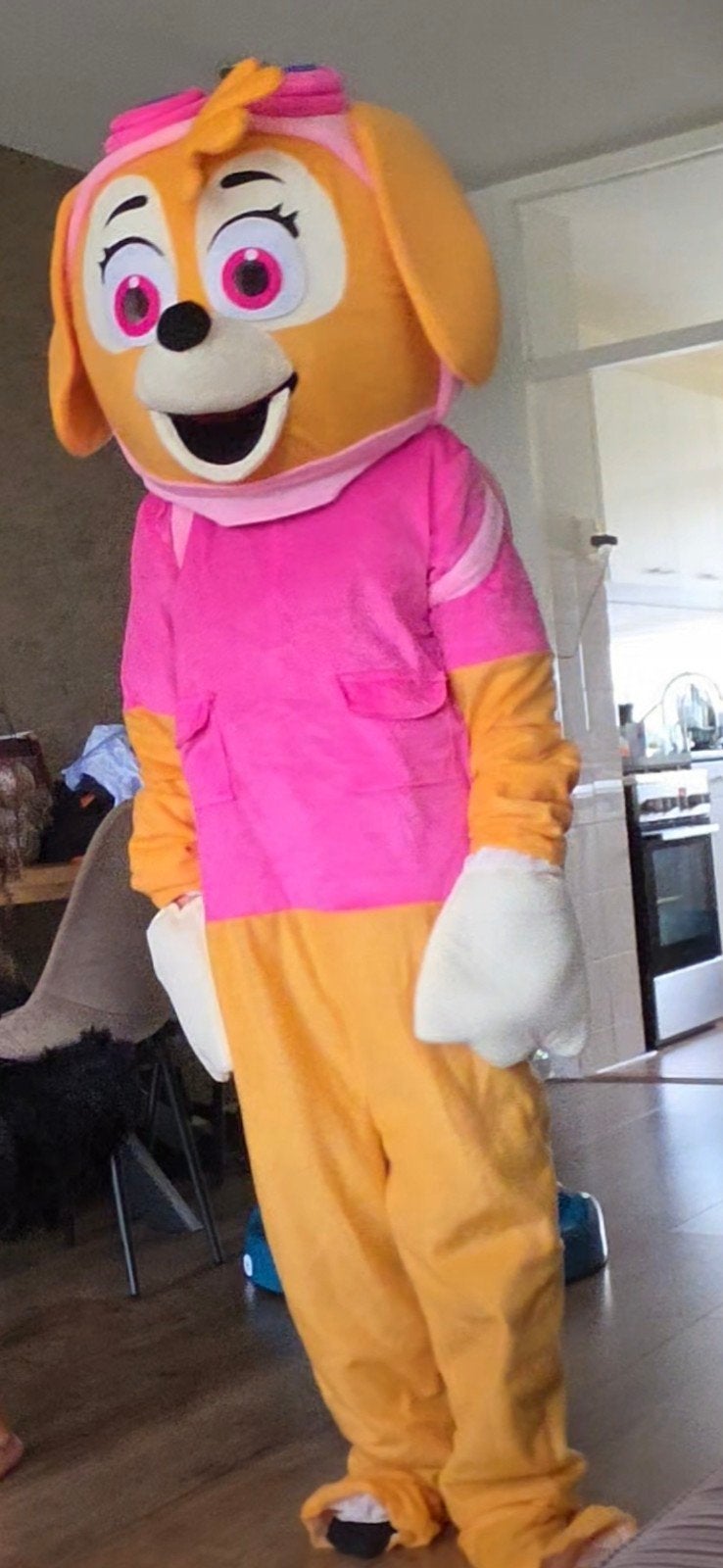 mascotte skye pak!, Ophalen, Carnaval
