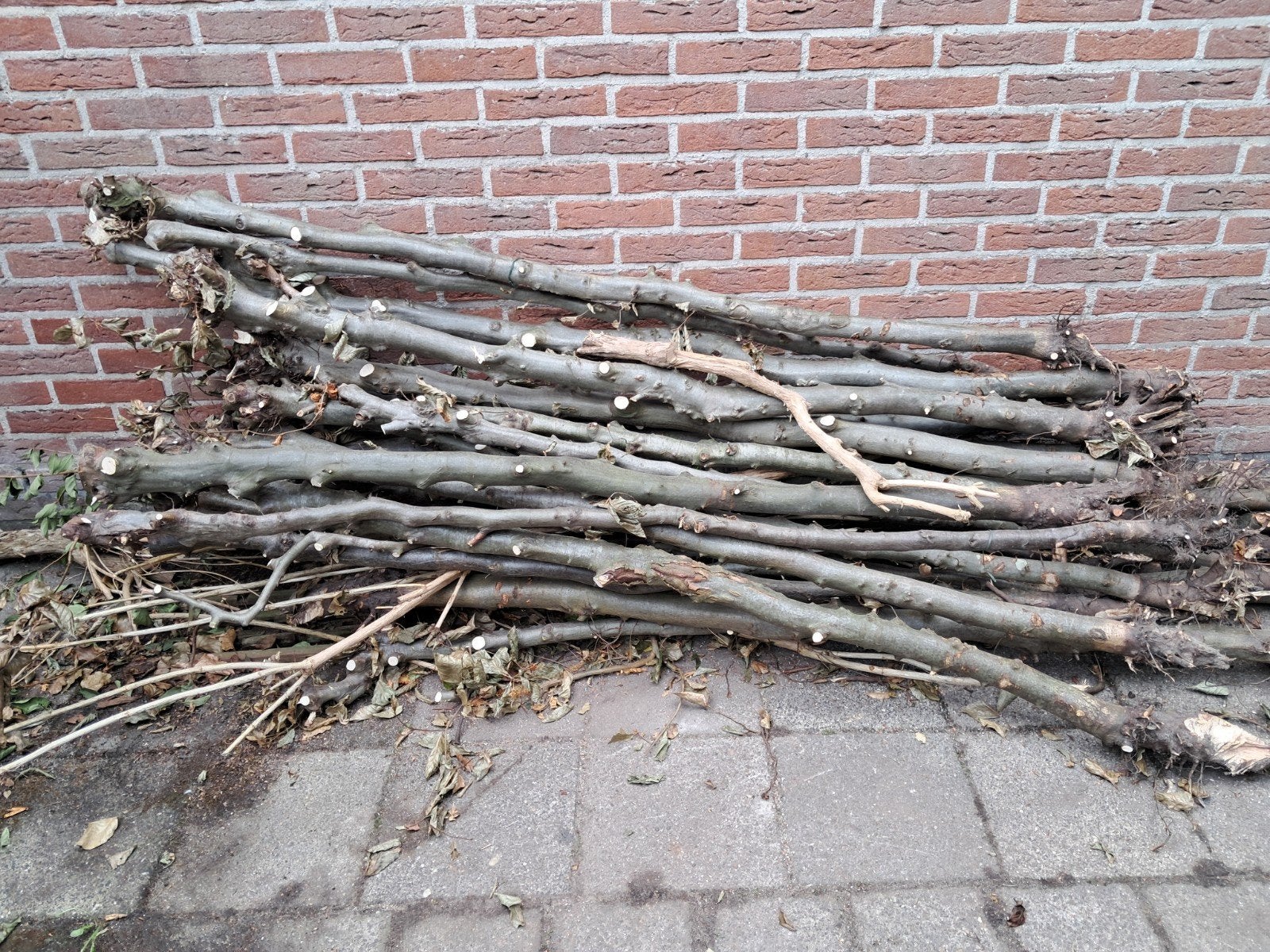 Stammen voor open haard, Minder dan 3 m³, Ophalen