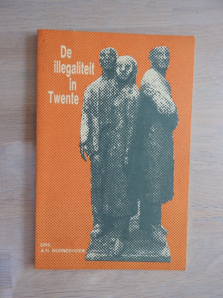 De illegalen - De illegaliteit in Twente 1940-1945 - Salland, Boeken, Ophalen of Verzenden, Tweede Wereldoorlog, Zo goed als nieuw
