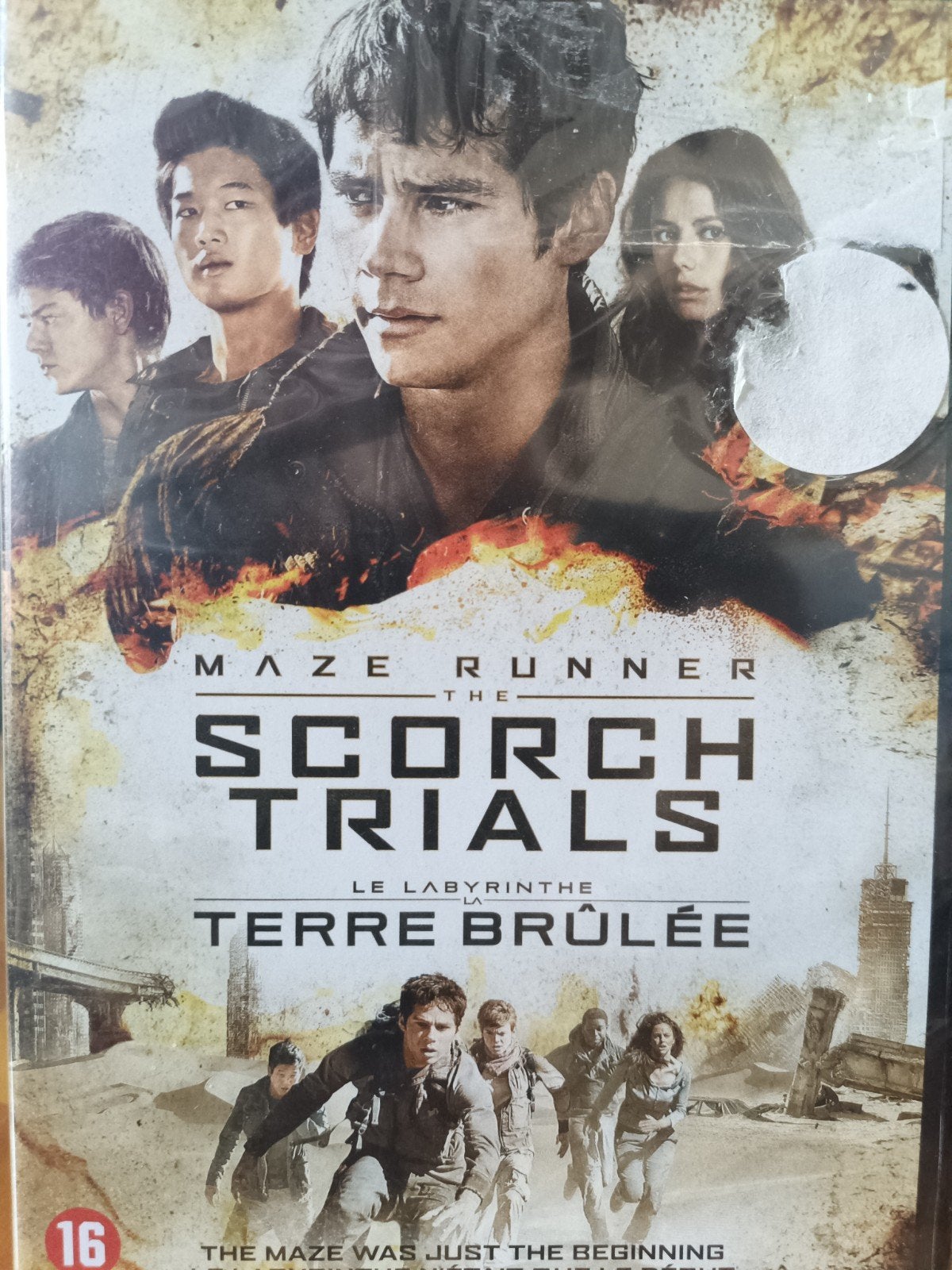 Maze Runner: The Scorch Trials Dvd NL NIEUW!!, Vanaf 16 jaar, Nederlands, Ophalen of Verzenden, Nieuw in verpakking