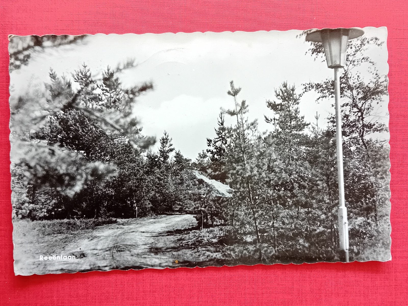 Oude ansichtkaart Bungalowpark en Camping De Hertenhorst, Ophalen of Verzenden, 1940 tot 1960, Gelopen, Gelderland