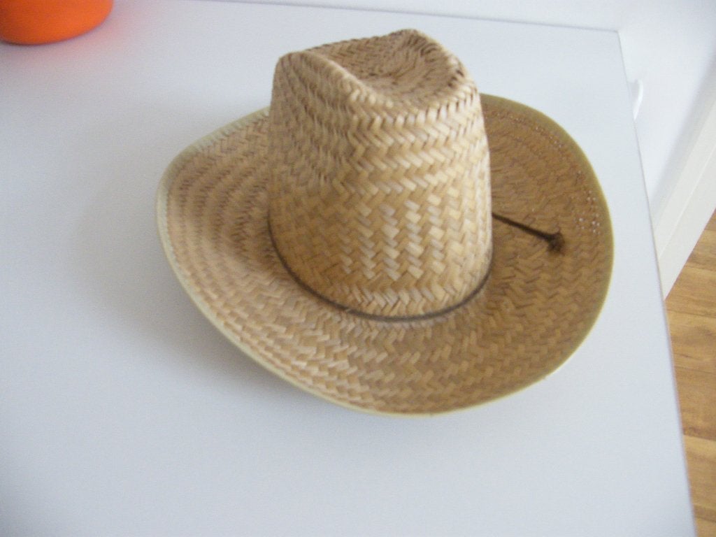 rodeohoed, Kleding | Dames, Ophalen of Verzenden, Zo goed als nieuw, One size fits all, Hoed