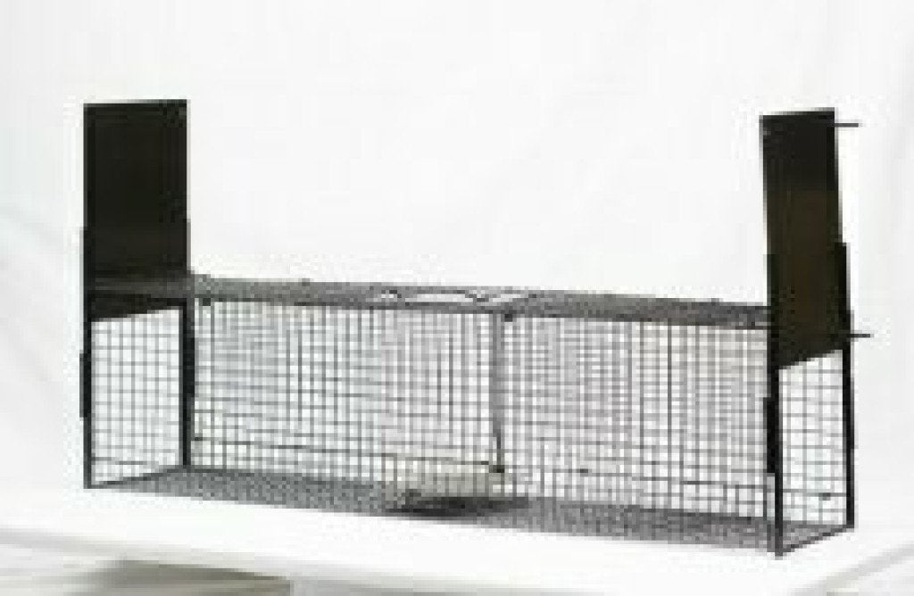 Ongedierte bestrijdingsmiddel: Doorloopval 100x25x28, Ophalen, Nieuw, Ongediertebestrijding