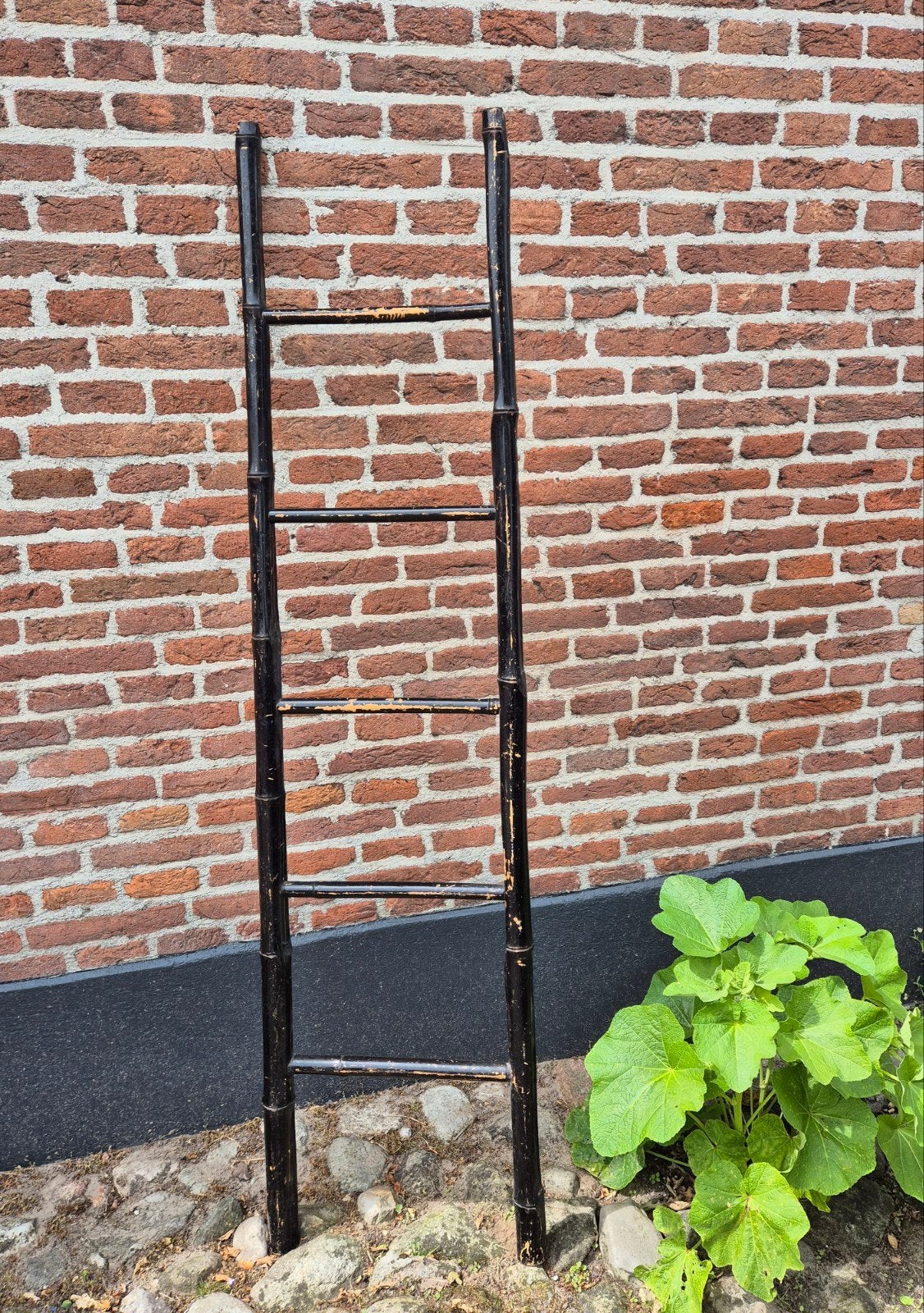 Bamboo laddertje, Ophalen of Verzenden