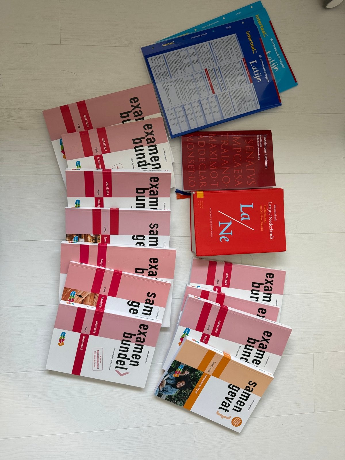 Examenbundels en samengevat VWO + Latijn boeken, Boeken, Ophalen of Verzenden, Alpha, Zo goed als nieuw, WO
