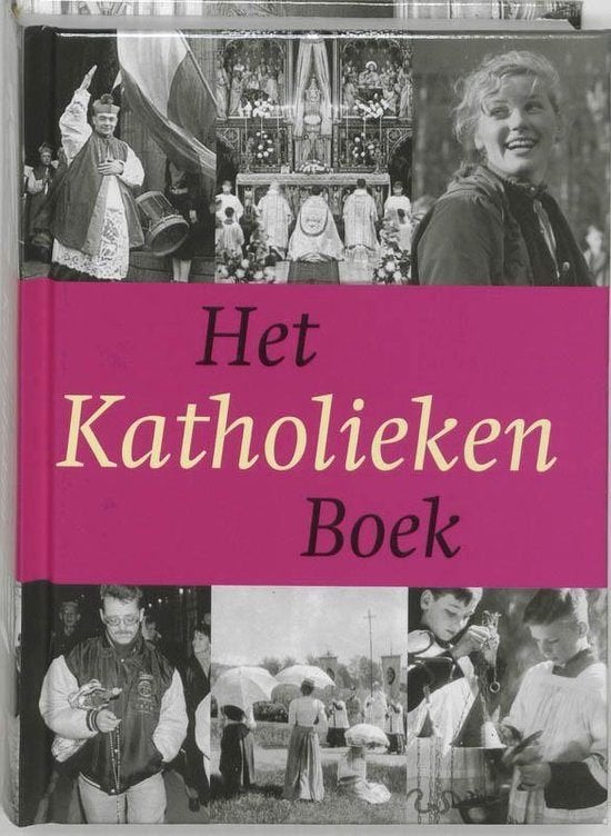 HET KATHOLIEKENBOEK  Waanders Zwolle, Boeken, Geschiedenis | Stad en Regio, Ophalen of Verzenden, Zo goed als nieuw
