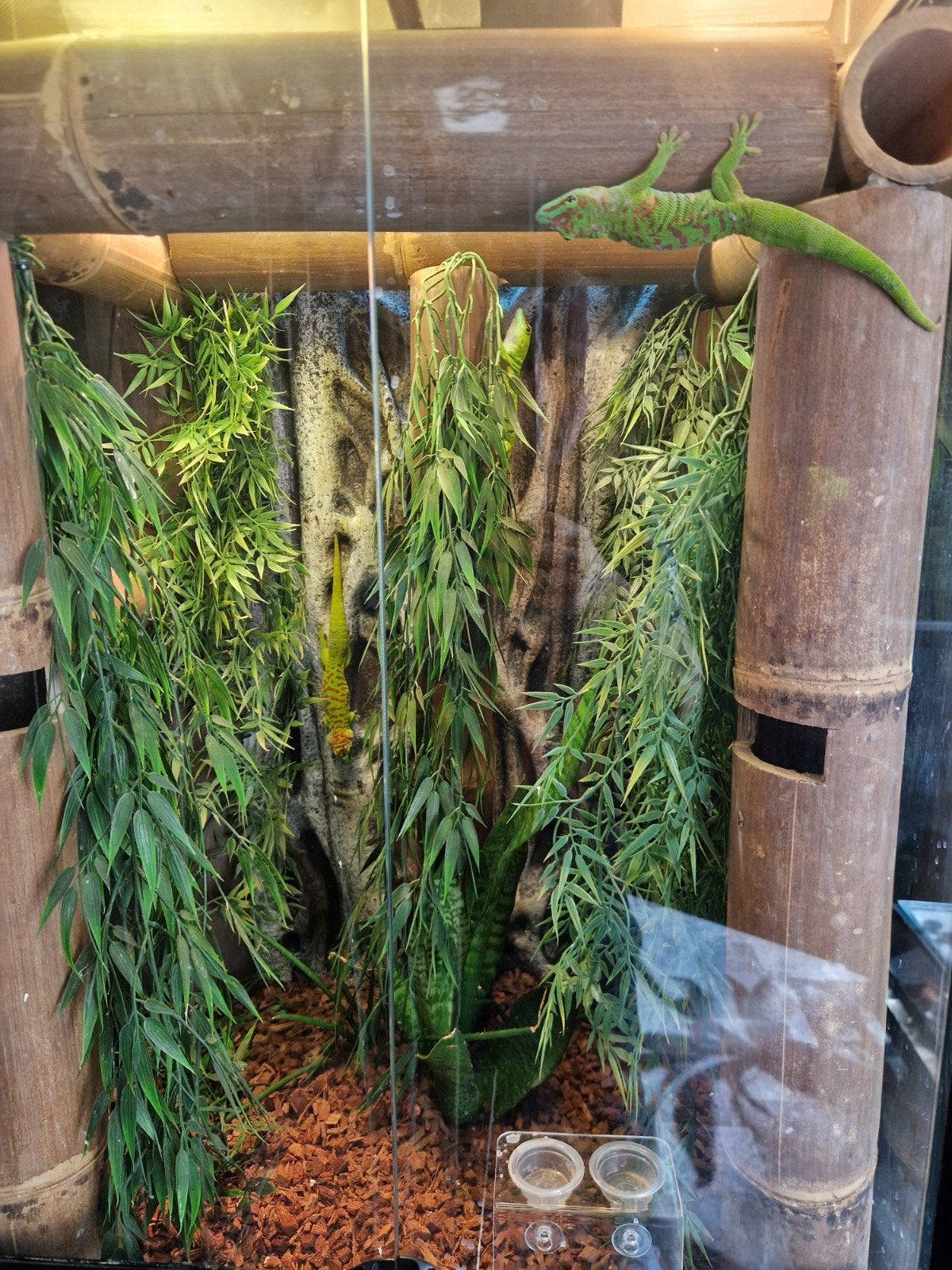 exo terra, Ophalen of Verzenden, Zo goed als nieuw, Terrarium of Paludarium