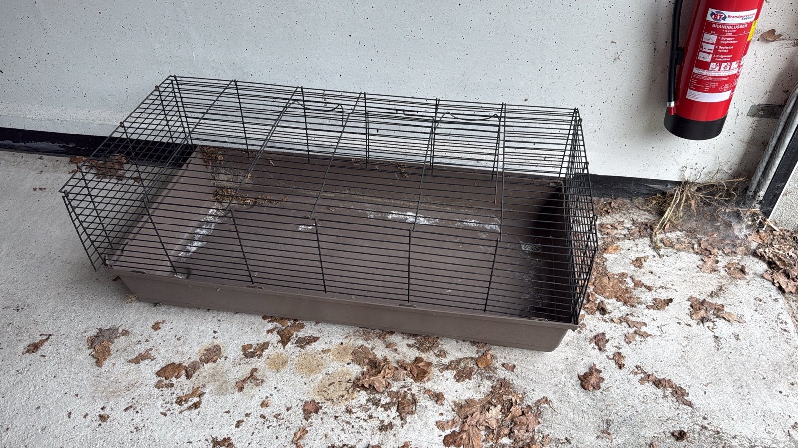 Grote kooi voor cavia of konijn, Ophalen, Kooi, 60 tot 90 cm, Cavia