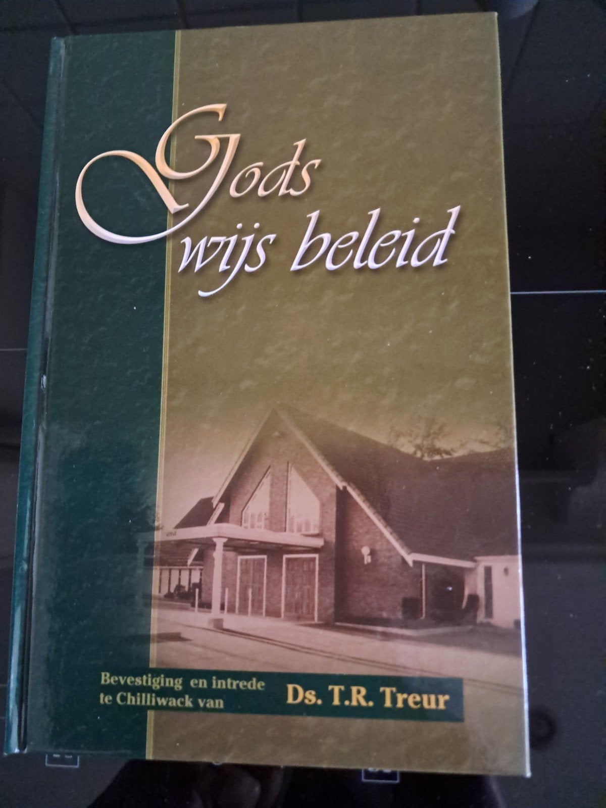 Gods wijs beleid - Ds. T.R. Treur, Ophalen of Verzenden