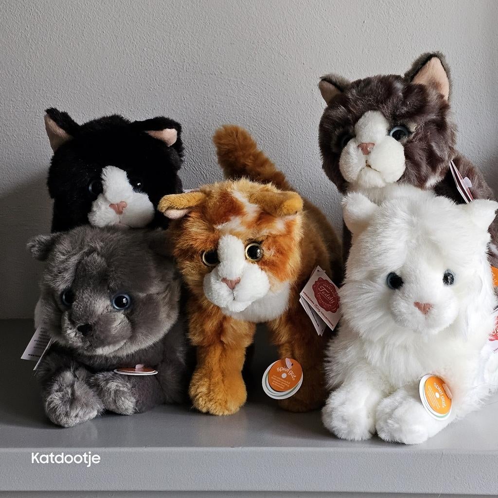 GEZOCHT!!! Gratis poezen knuffels, Verzamelen, Beren en Cherished Teddies, Ophalen, Zo goed als nieuw, Stoffen beer, Overige merken