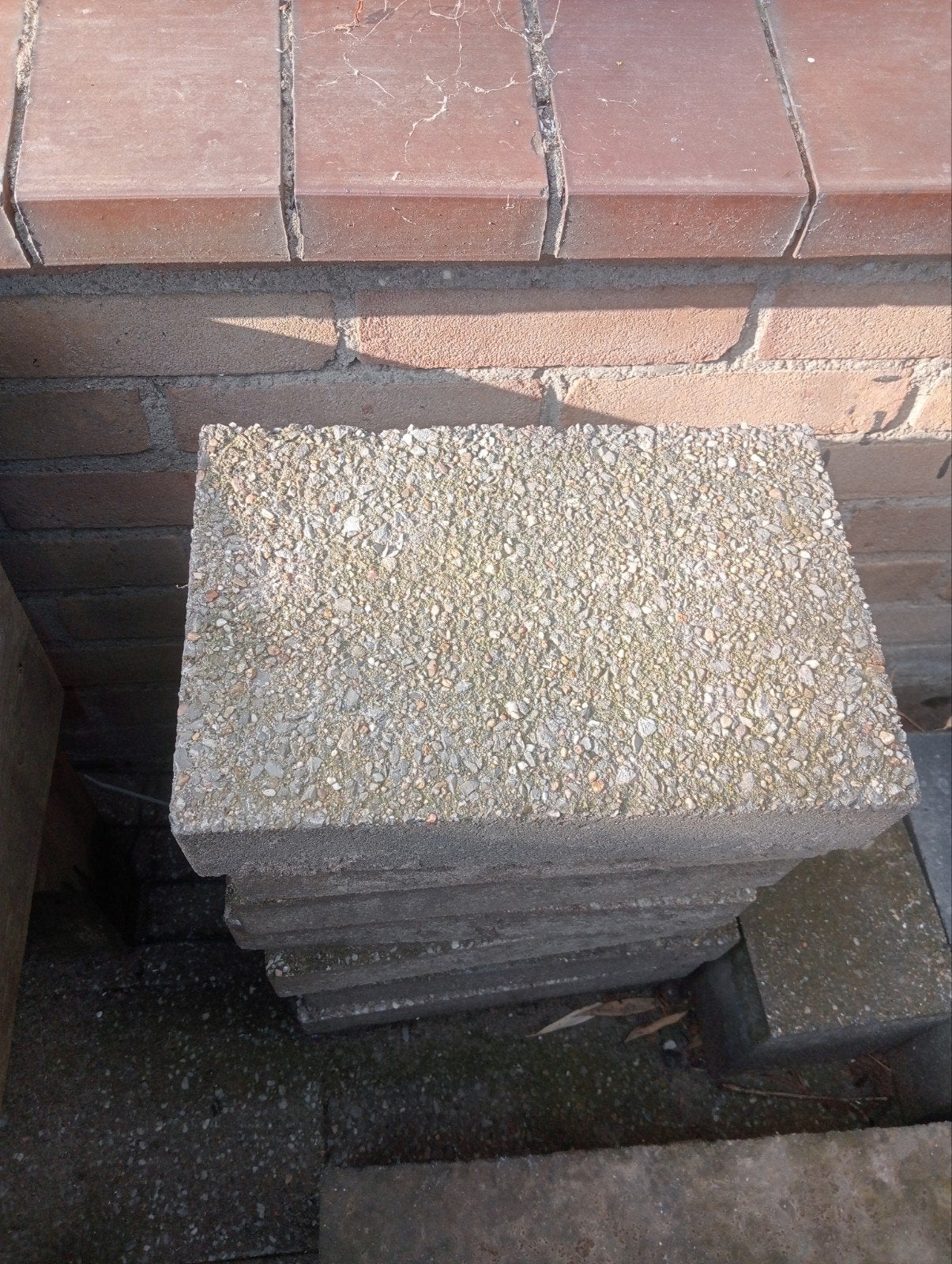 20x30 tegels Gratis, Ophalen of Verzenden, Gebruikt, Beton, Terrastegels