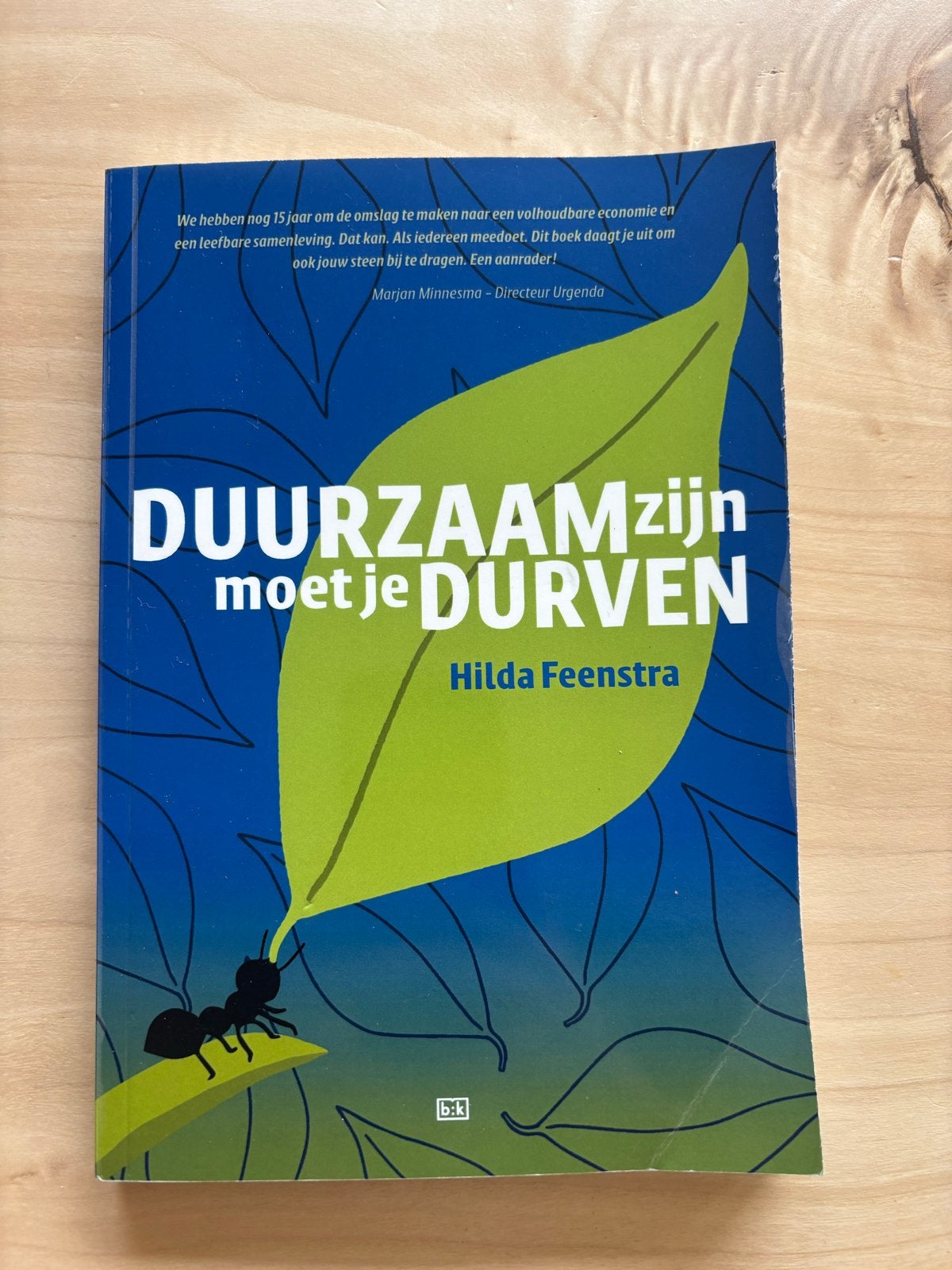 Duurzaam zijn moet je durven - Hilda Feenstra, Boeken, Literatuur, Zo goed als nieuw, Nederland, Ophalen of Verzenden