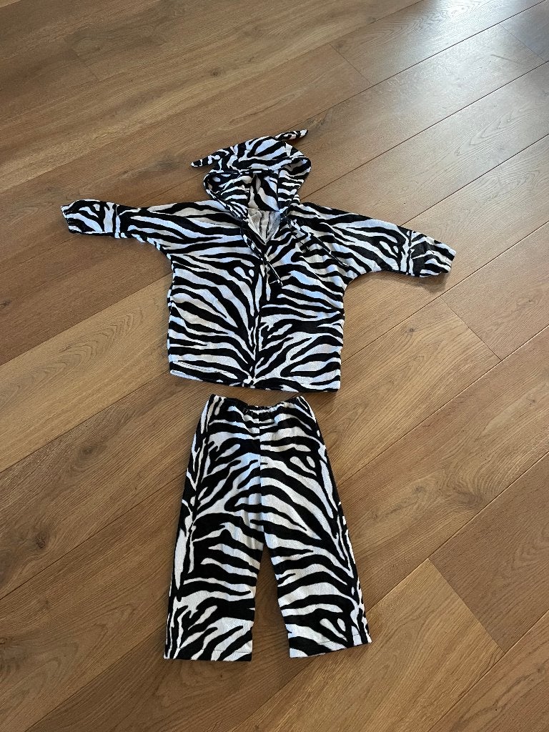 Verkleedset zebra carnaval, Ophalen, Zo goed als nieuw, Jongen of Meisje